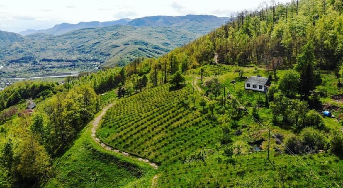 Estate Vukadinovic Villa Mojkovac Buitenkant foto