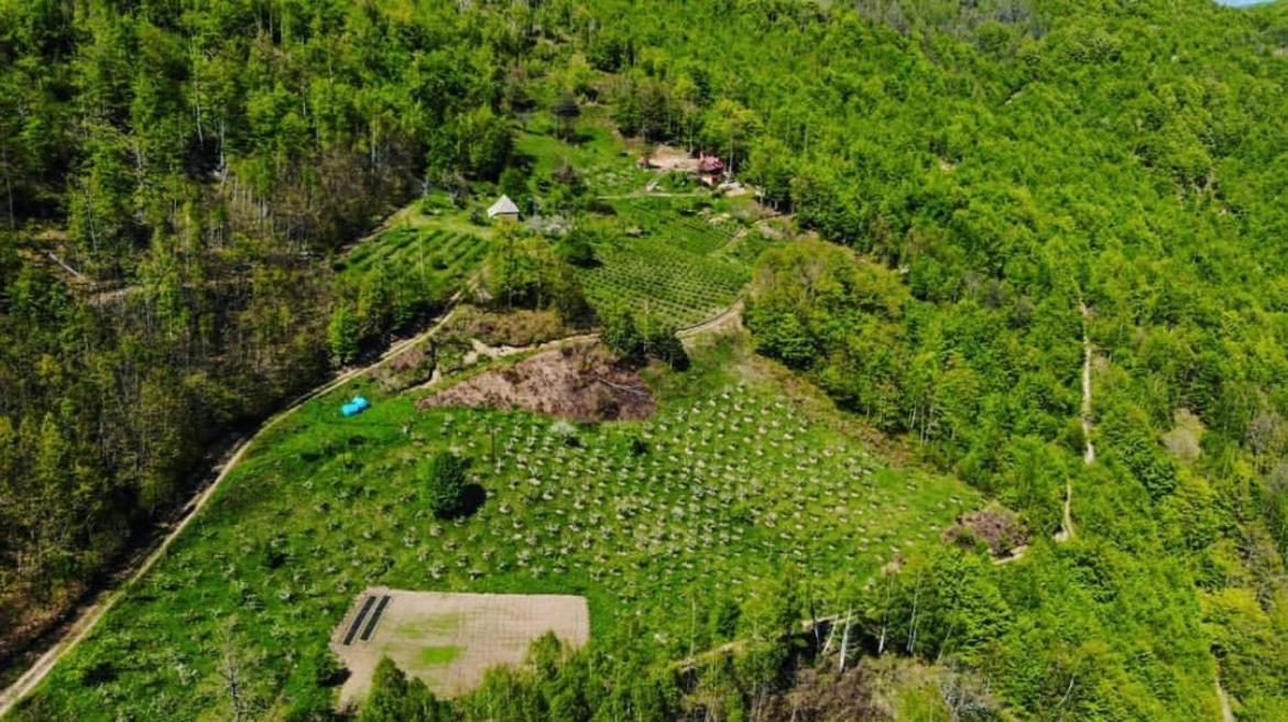 Estate Vukadinovic Villa Mojkovac Buitenkant foto