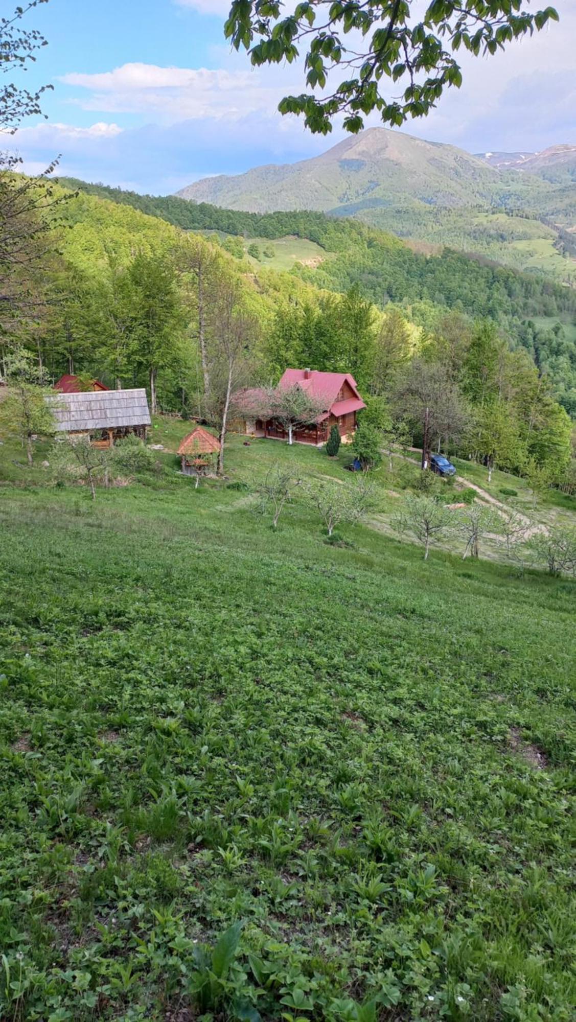 Estate Vukadinovic Villa Mojkovac Buitenkant foto