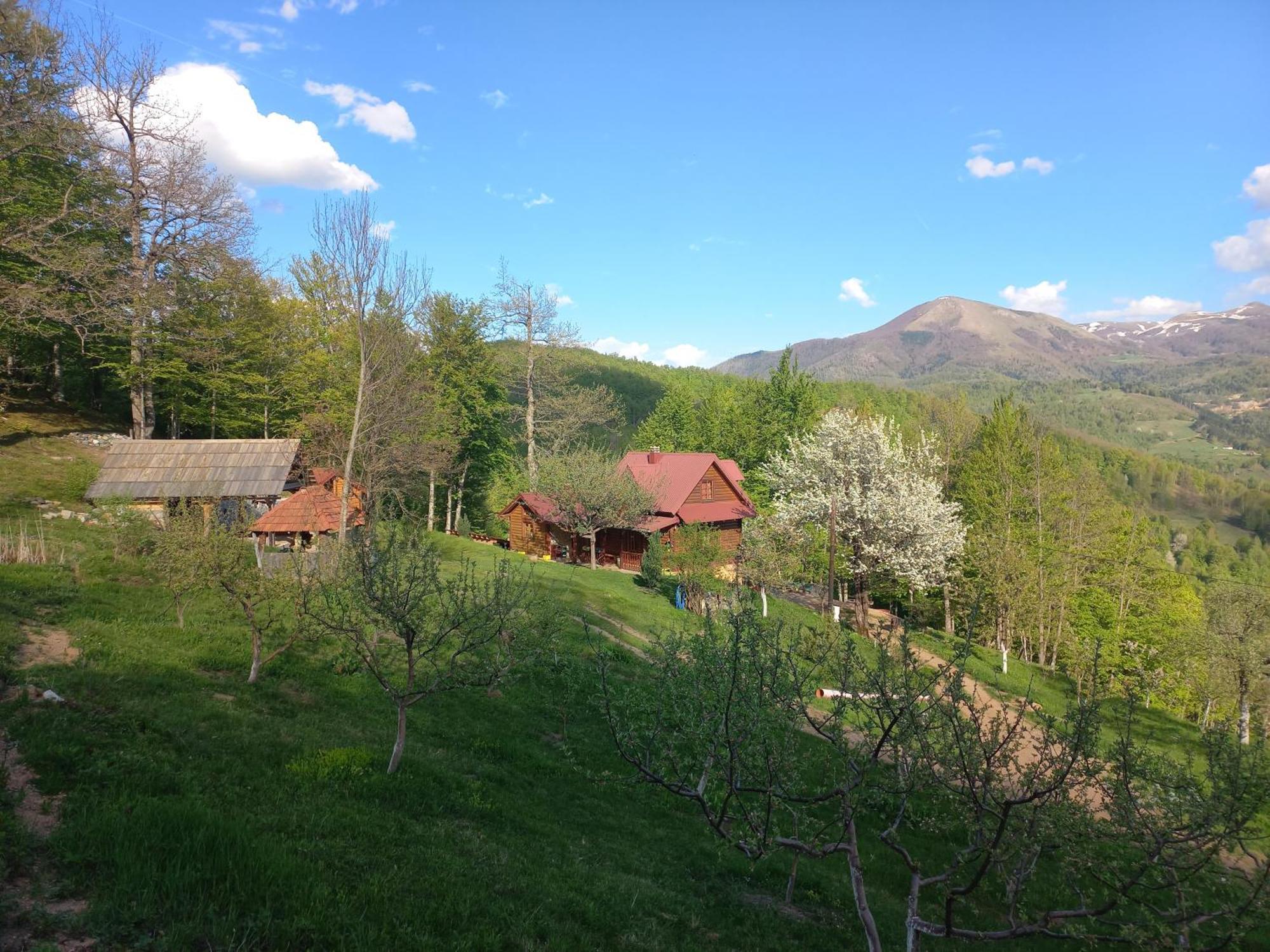 Estate Vukadinovic Villa Mojkovac Buitenkant foto