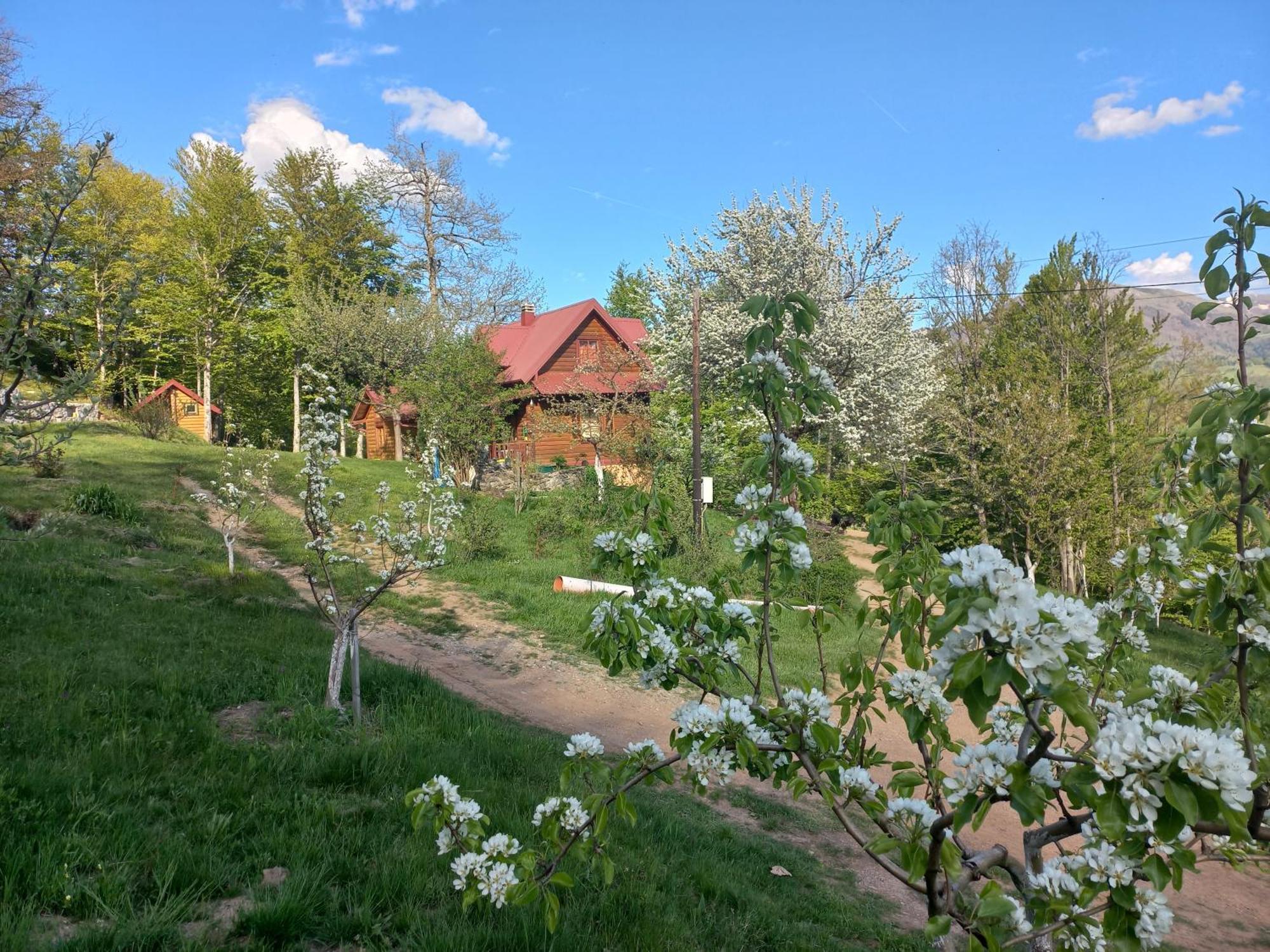 Estate Vukadinovic Villa Mojkovac Buitenkant foto