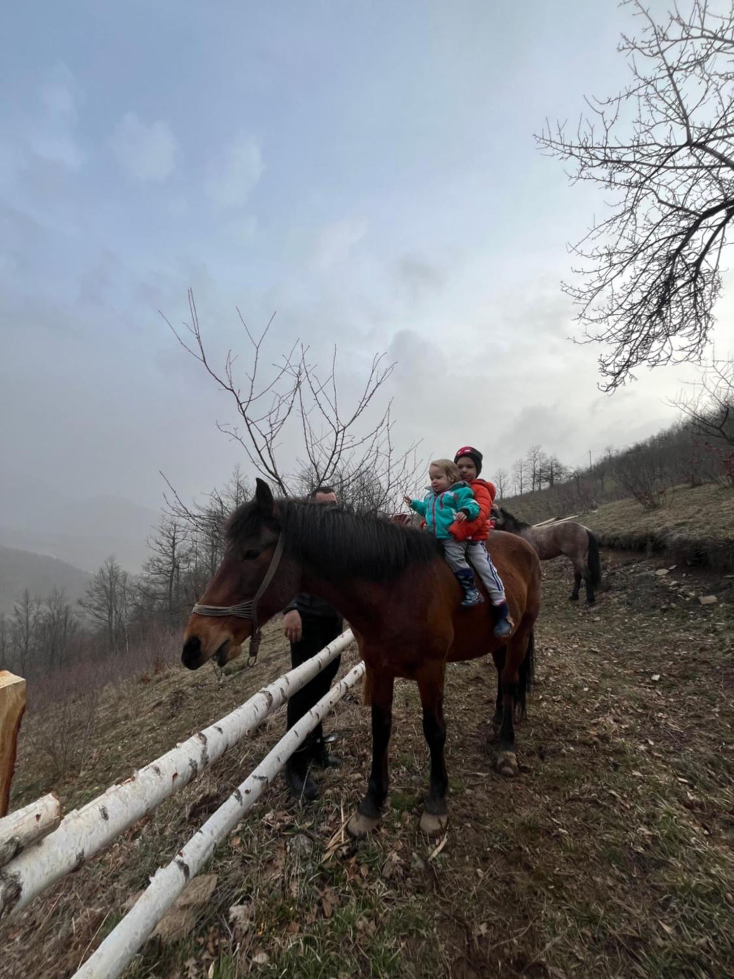 Estate Vukadinovic Villa Mojkovac Buitenkant foto