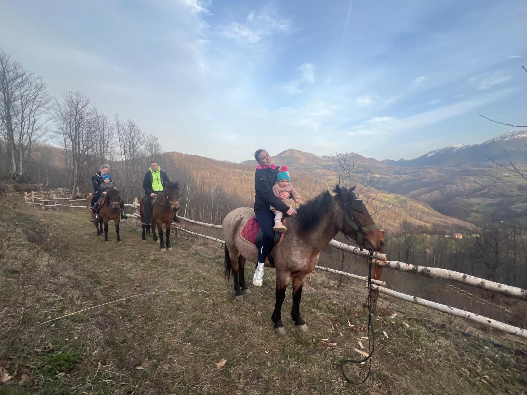 Estate Vukadinovic Villa Mojkovac Buitenkant foto