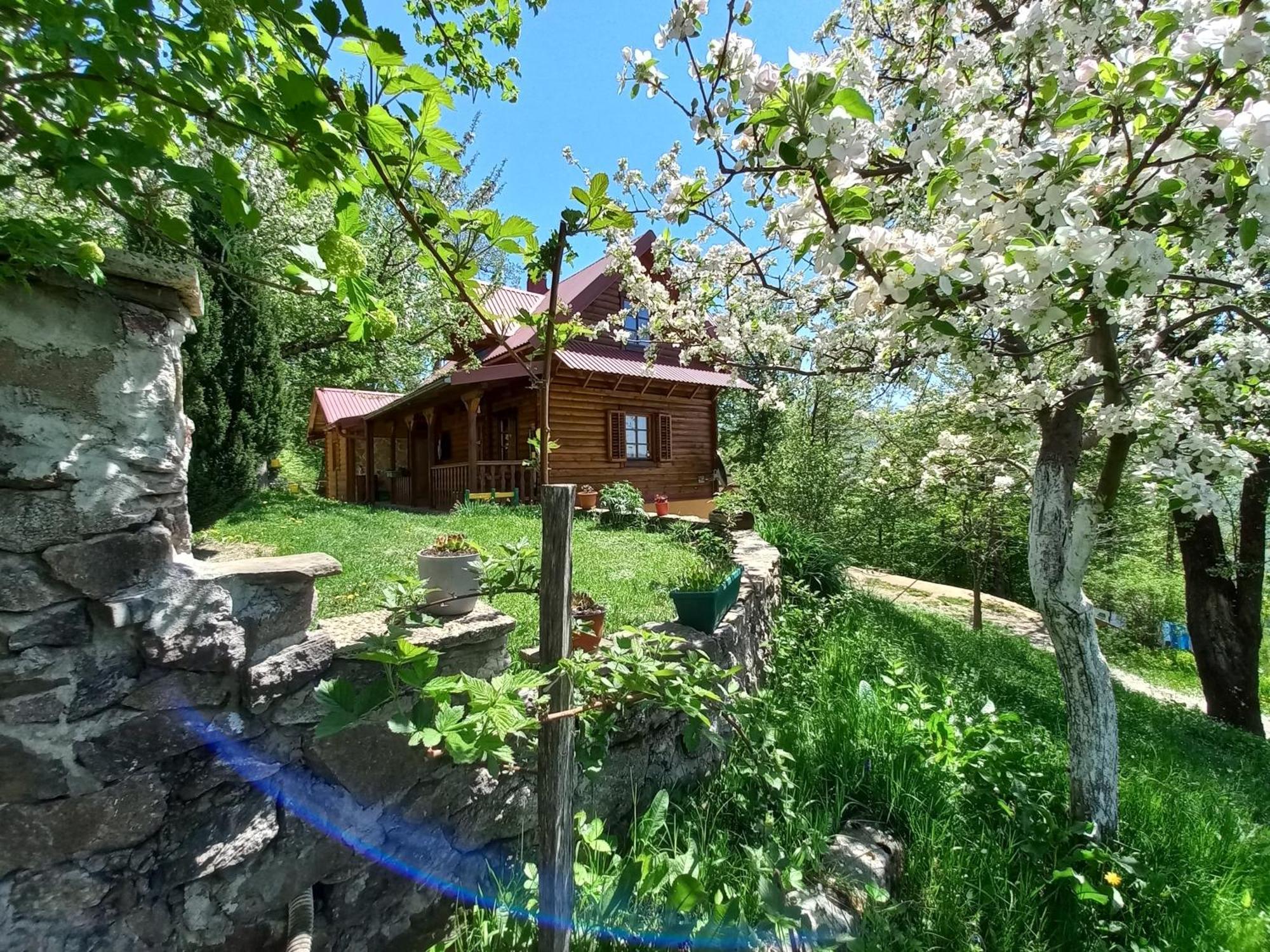 Estate Vukadinovic Villa Mojkovac Buitenkant foto