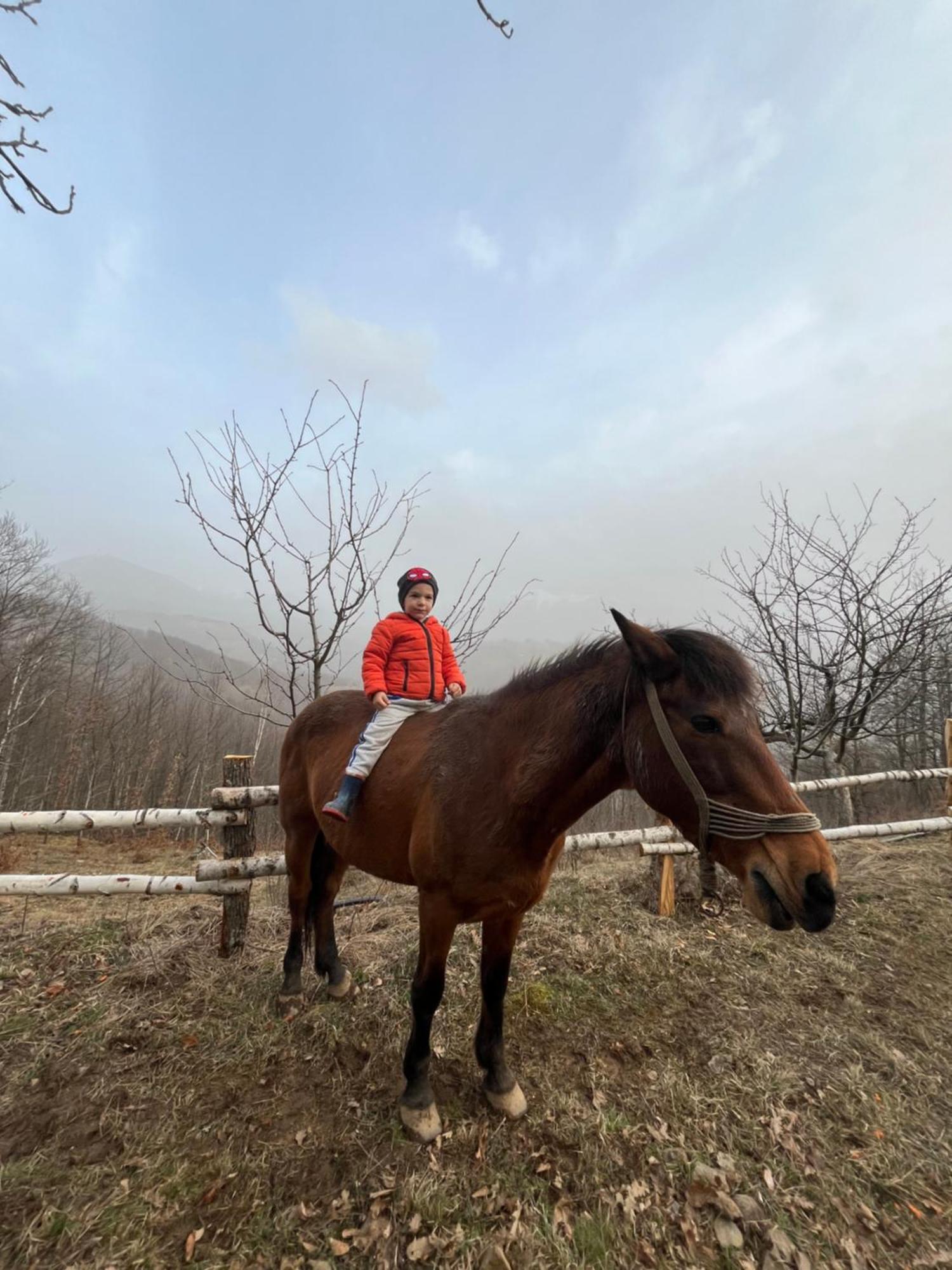 Estate Vukadinovic Villa Mojkovac Buitenkant foto