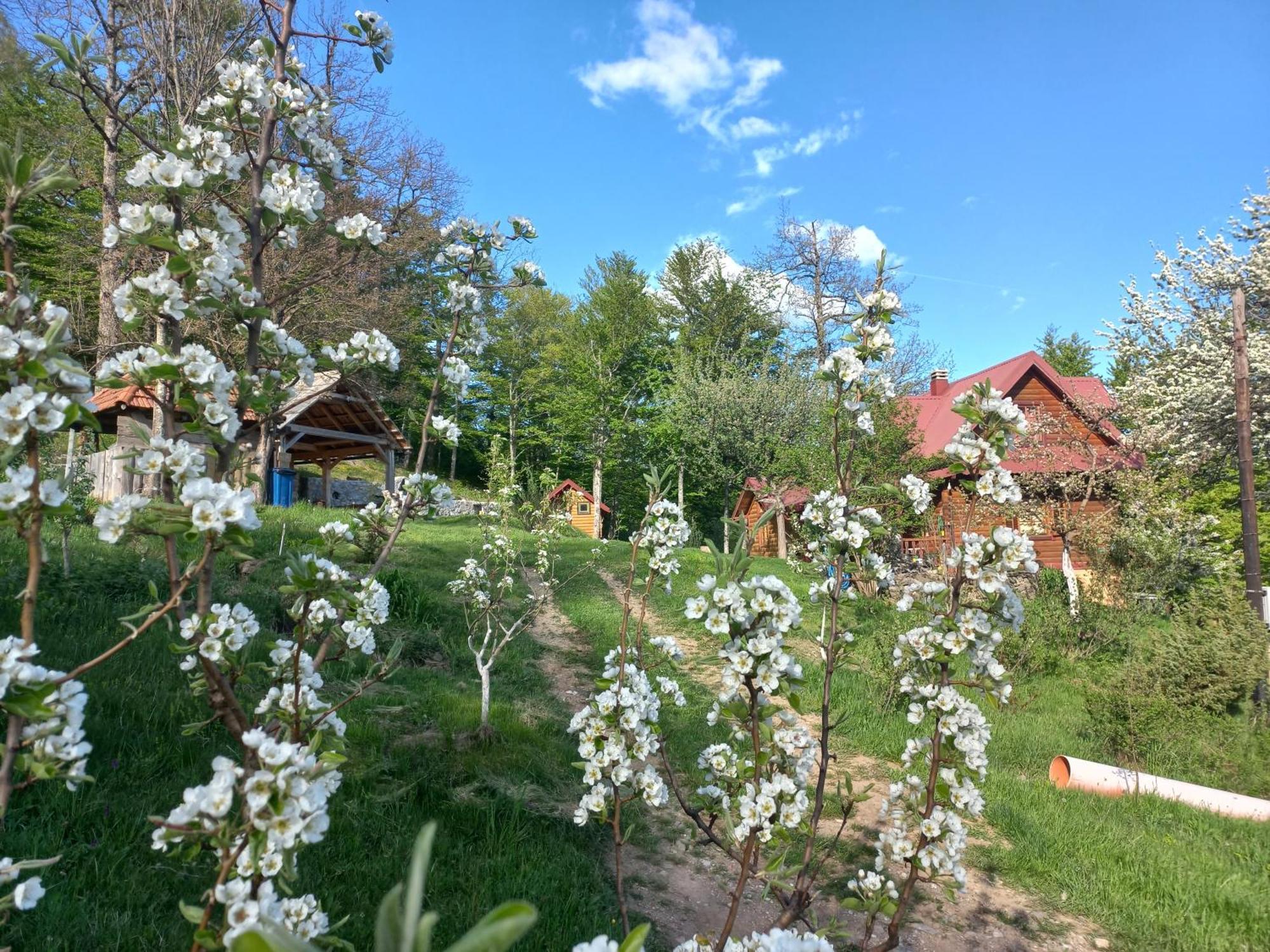 Estate Vukadinovic Villa Mojkovac Buitenkant foto