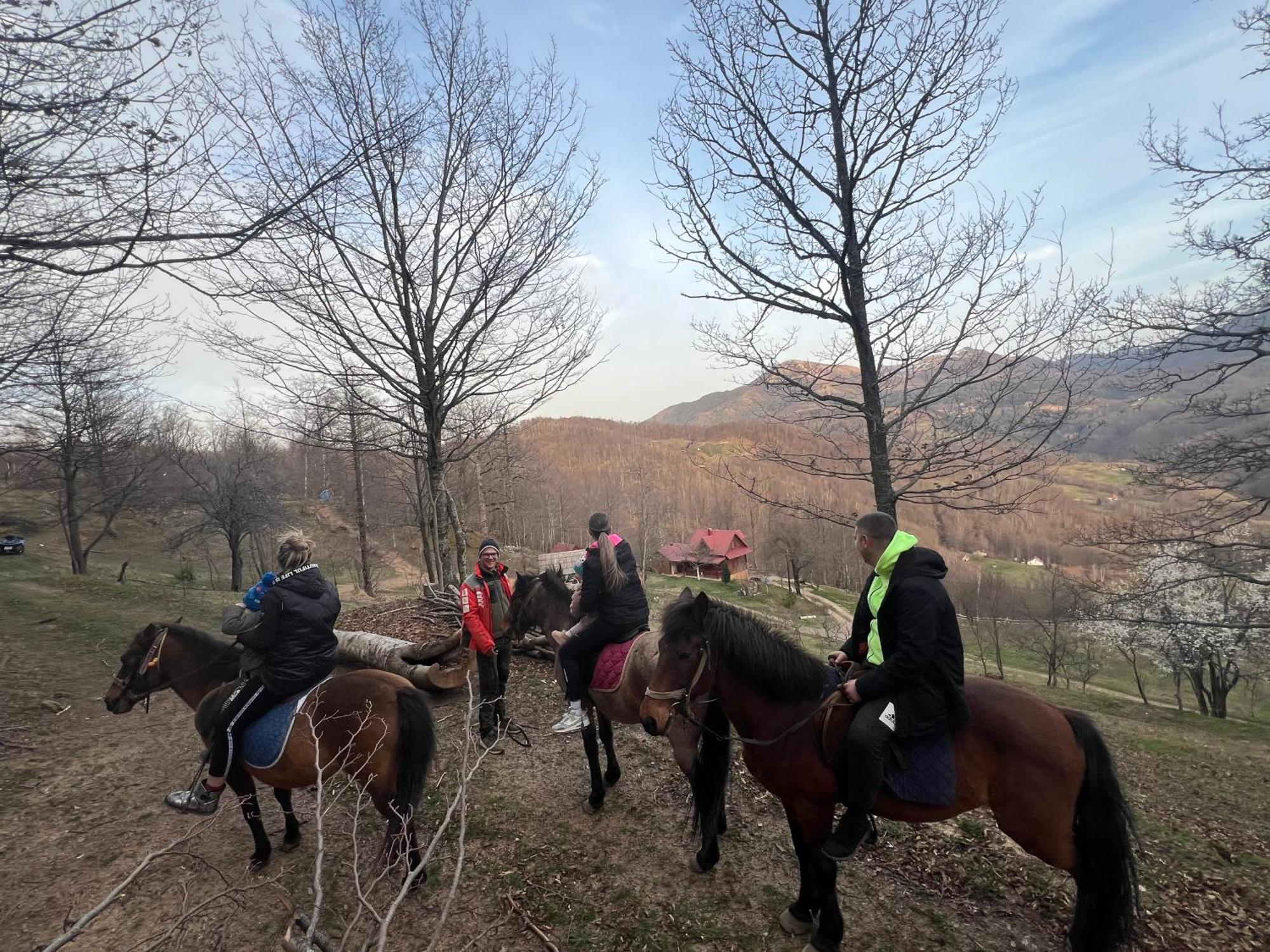 Estate Vukadinovic Villa Mojkovac Buitenkant foto