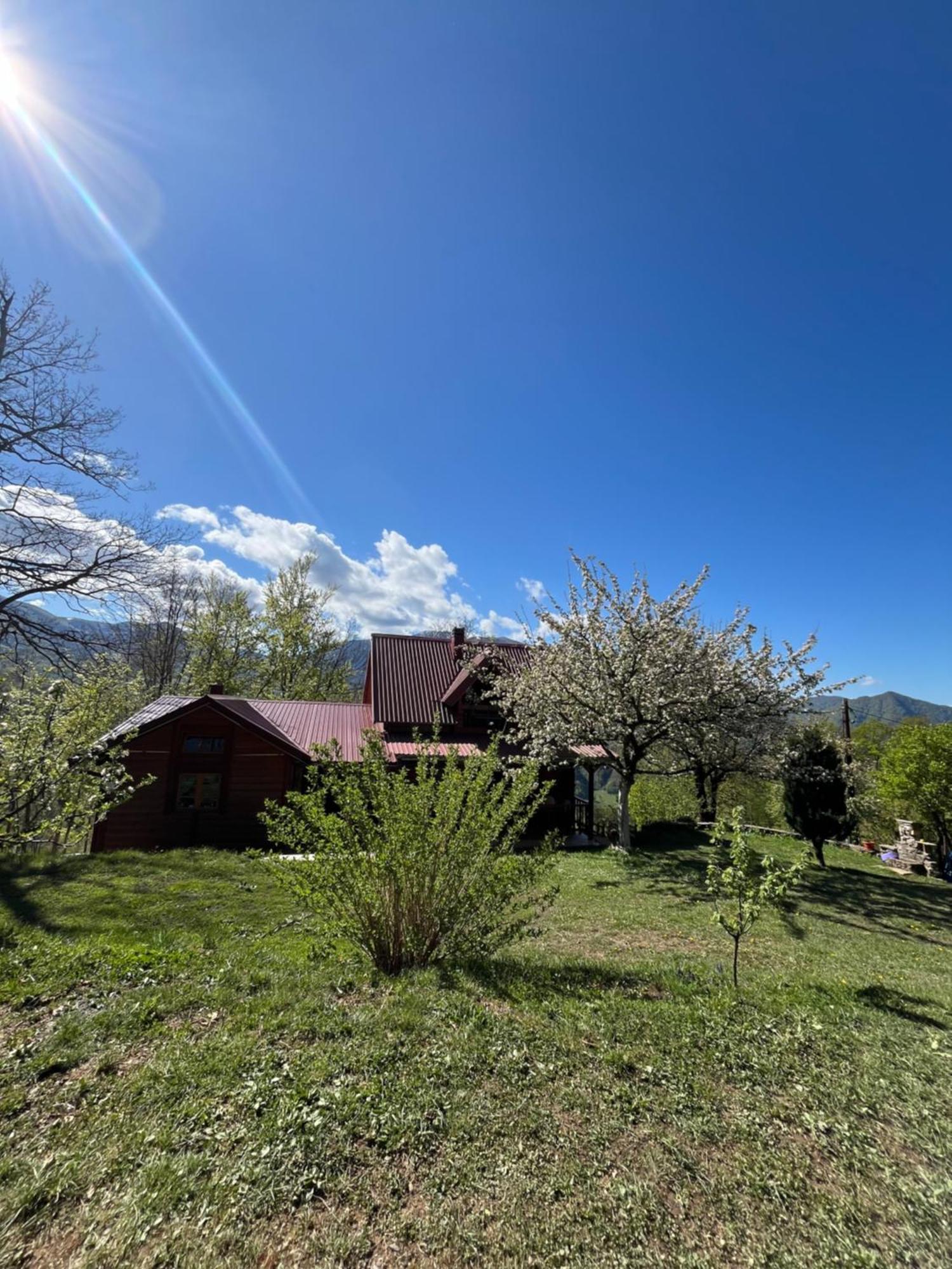 Estate Vukadinovic Villa Mojkovac Buitenkant foto